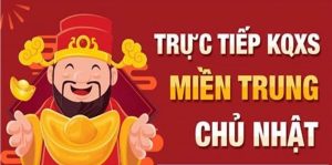 Không soi cầu trên nhiều kênh website