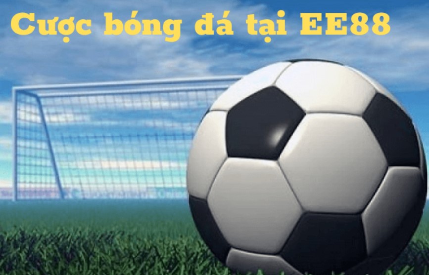 Cược bóng đá tại EE88